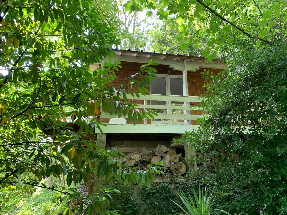Вілла Chalet En Bord De Seine Le Coudray-Montceaux Екстер'єр фото